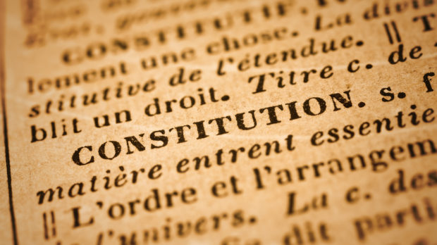 Constitution: French Dictionary Close-up